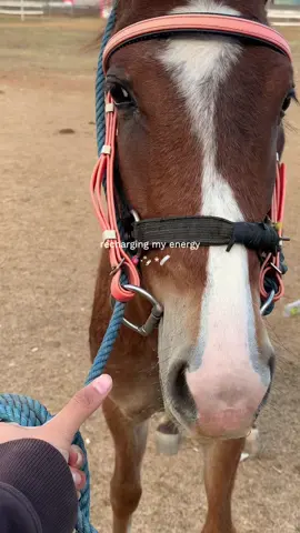 Kuda kuda kuda ❤️‍🔥