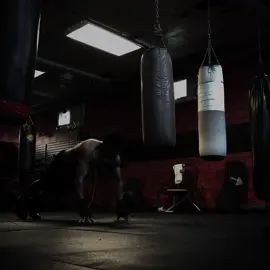 Focus#boxing #boxeo #training #shadowboxing #hardwork 