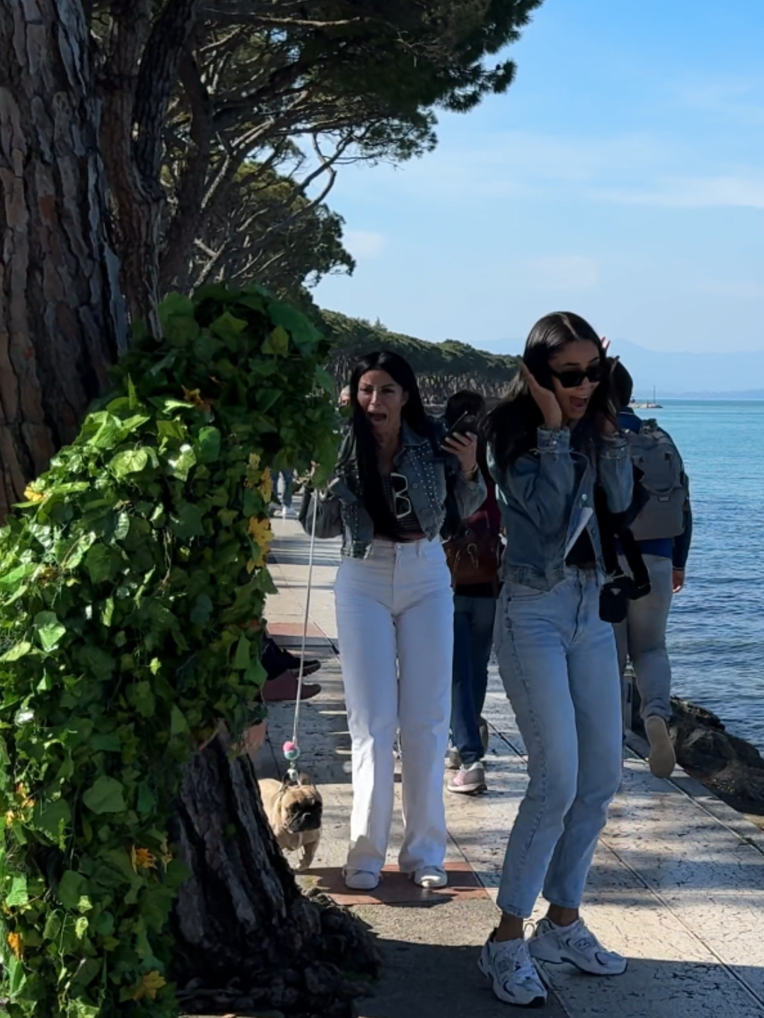 #funnyvideos #justforfun😂😂 #laughter #prank