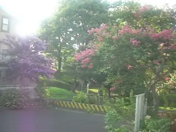 私が初めて愛した夏。 私の愛する物が、また私から離れて2度戻らない夏。 ならばいっそ消えてしまえばいいのに。 時間を重ねれば得た物が増える。欲が多く全て所有していたくて。両腕からこぼれ落ちた私の愛 もうどうかこれ以上は。 そう、これもまた私の欲なのです #hiim2000s #nostalgia #writer #japancore #00s #nostalgic 