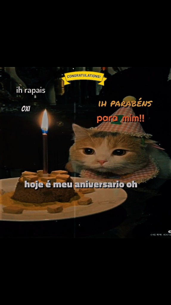 #aniversario #parabenspramim #22 
