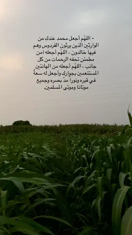 اللهم أجعل اخي محمد من الذي يتنعمون بنعيم الجنة وروحها وريحانها حتى قيام الساعه وجميع موتى المسلمين #رحم_الله_أخي_محمد #ذكر_الله 