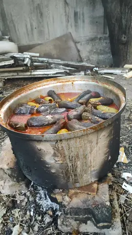 بس لحضرت جنابو  #😅😅😅😅😅😅😅😅😅😅😅😅 