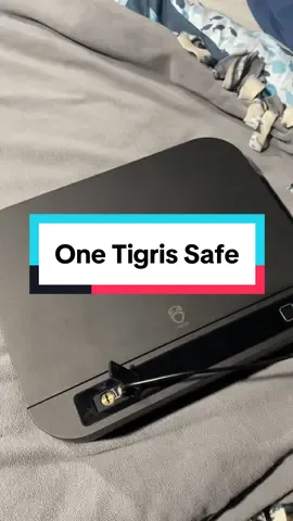 @OneTigris Tactical  #safe #safebox #fingerprint #storage #traveltiktok #valuable #musthaves #tiktokshop #tiktokmademebuyit 