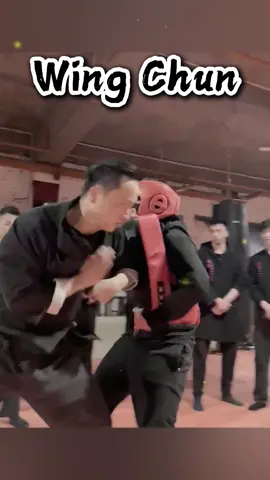 Wing Chun in combat🫸🏻 #wingchun #martialarts #kungfu #combat #culture #chineseculture #foryou 