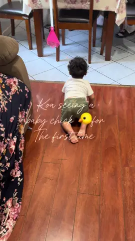 Koa is not a big fan for when its on the floor but carried hes okai 😂 #babytiktok #funnyvideos #funnybabyvideos #fypシ゚viral 