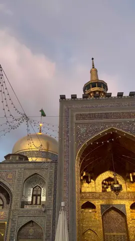 ‏ان شاء الله العودة يازوّار الرضا❤️‍🩹.  #ياعلي #ياعلي #ياعلي_مولا_عَلَيہِ_السّلام #النجف #النجف_الاشرف #النجف_الاشرف #العراق #العراق #العراق #العراق🇮🇶 #العراق_السعوديه_الاردن_الخليج #بغداد_العراق #البصرة #كربلاء #السعودية🇸🇦 #السعودية #السعودية_الكويت_مصر_العراق_لبنان #السعودية_العظمى #فرنستنا🇮🇷 #ايران🇮🇷 #مشهد #أنيس_النفوس #علي_بن_موسى_الرضا #رضا_جان #ياعلي_بن_موسى_الرضا #شيعة #شيعة_علي #شيعة_علي_الكرار #شيعة_الامام_علي #شيعه_الامام_علي_عليه_السلام #اهل_البيت_عليهم_سلام #اهل_البيت_عليهم_السلام #السلام_عليك_يااباعبد_الله_الحسين #ياحسين #ياعلي #ياقمر_بني_هاشم #العباس #قمر_بني_هاشم #كافل_الحوراء_زينب #like #like #fy #fypシ゚viral #fyppppppppppppppppppppppp #fypdongggggggg #explore #explorepage #explor #explore #explore #اكسبلور #اكسبلورexplore #اكسبلورر #اكسبلورر #اكسبلور_تيك_توك #اكسبلور؟ #الشعب_الصيني_ماله_حل😂😂 #الشعب_الصيني_ماله_حل #الشعب_الصيني_ماله_حل #علي_الوائلي #tiktokindia #tiktokindia #اهل_البيت_عليهم_سلام #ياعلي 