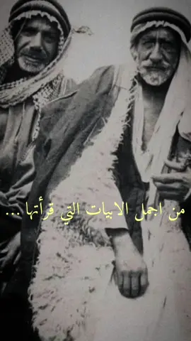 #اكسبلور #احمد_المجالي #قصه_وقصيده #فواز_الغسلان #شعر #بدوي #حركة_الاكسبلور #قديمك_نديمك #قصايد #اكسبلوررر  