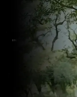 💔✨️ #phobia_isaac #rai #rap #slowed #slowedsongs #speedsongs #spotify #Love #amour #algerie🇩🇿 #song #zxaki #viral #explore #foryoupage #foryou #fypシ 