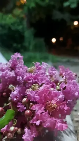 Öğle.....#สโลว์สมูท #CapCut 