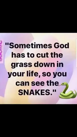 Gotta watch em👀🧏‍♂️🫂 #fypage #fypツ #explorepage #followers➕ #braybans313 #snakes #grasscut #watchout 