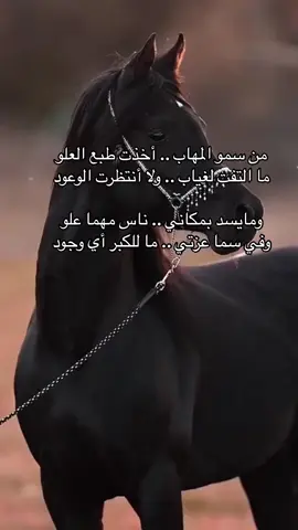 عـزتـي تـرفـض عـلـي الإنـهــزام 🦋#اكسبلورexplore❥🕊 @🦋 