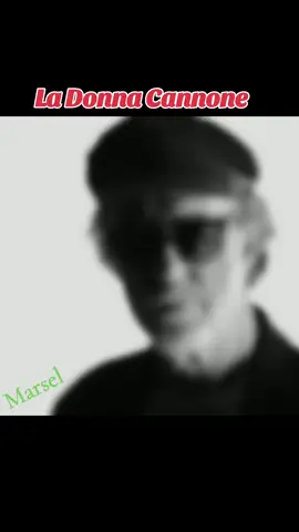 #ladonnacannone🎶💕 #😊⚘️  #meravigliosa⚘️ #gregori  #francescodegregori❤️ #fyp #viraltiktok #perte #mikmarsel🌹🌹🌹 