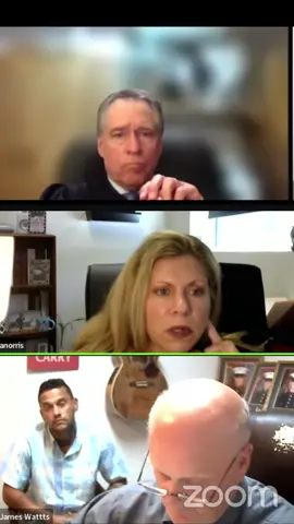 Lawyer Catches Her Off Guard #lawyer #judge #court #judgericke #americancourts #Kansas #Gotcha