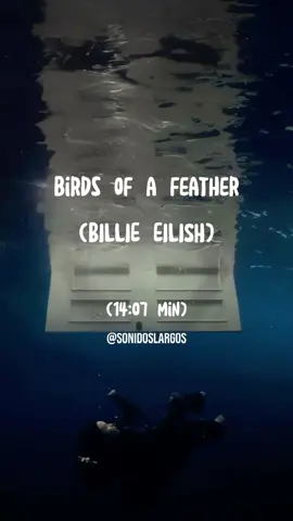 #sonidoslargos #vlogs #grwmmakeup #grwm #Vlog #creadoresdecontenido #billieeilish #birdsofafeather 