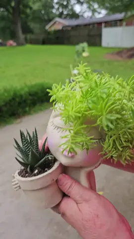 Pot for plants with a cute face #fyp #viral #tiktokmademebuyit #dealsforyoudays ##deals #ofertas #macetas #cutefaceonpots #plantingpot #PlantLover #SummerDeals #macetasparaplantas #natureathome #cuteladyfacepot 