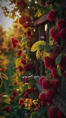#مهارات حياتية …#د#دياسر الحزيمي  #اقتباسات_عبارات_خواطر #مهما #اكسبلور_explore 