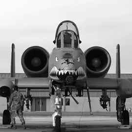 completely overrated plane but its still badass #a10 #a10warthog #brrrt #fairchildrepublic #airforce #usa #army #raaf #f14 #f15 #f16 #f18 #f22 #f35 #hog #warthog #warthunder #warthunderaviation #avation #avgeek #fighter #edit #fyp #fypシ #fypシ゚viral #viral #capcut 