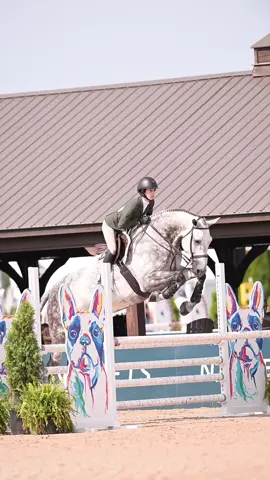 he literally just steps over them😭🤍 #bigeq #scope #august #Summer #glef #horsesoftiktok #quality #trending #glef 
