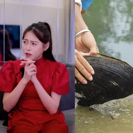 #vietphuongthoa#giaitri#vuinhon