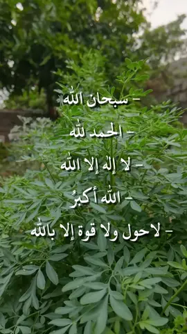 سبحان الله والحمد لله ولااله الاالله والله اكبر ولا حول ولاقوة الا بالله العلي العظيم#صباح_الخير #سبحان_الله_وبحمده_سبحان_الله_العظيم#سبحان_الله #اكسبلوررررر #تيك_توك #ترند #اللهم_صل_وسلم_على_نبينا_محمد 