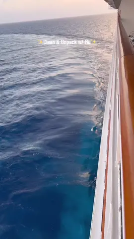 Vacation essentials that make sense to ME! 🏝️🚢🧽🫧✨#clean #asmr #cleanwithme #cleaningmotivation #CleanTok #cleanhome #organizedhome #hotelcleaning #hotelclean #cleaningtips #cruise #asmr #cleaninghacks #momtok #scrubdaddy