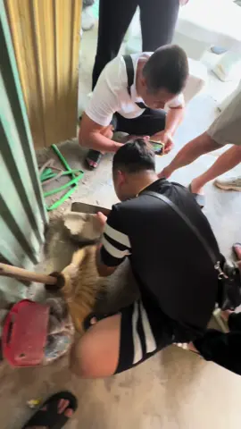 hóng#xuhuong #daquyngocnhi #xuhuongtiktok #xuhuong2023 #daquy #daquy #daphongthuy #daquyngocnhi2 #daquyngocnhi4 