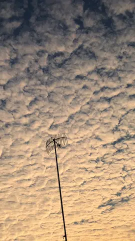 #sky #skyline #awan #langit #langitaesthetic #langitbiru #senja #senjasorehari #sunset #sunsetlover #cloud #sunsetvibes #fypシ゚viral #fypシ 