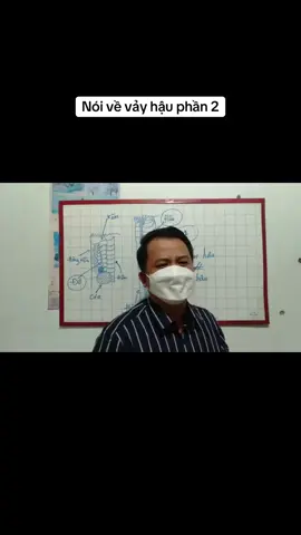 Vảy hậu phần 2 #gà_chiến_đấu #gàchoivietnam🇻🇳 #gàchiến #gà_chọi_việt_nam #xuhuong #xuhuongtiktok 