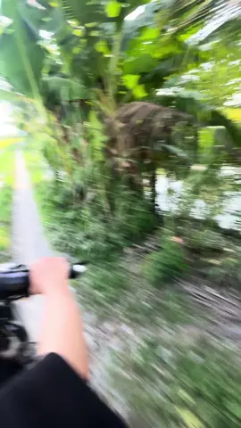 Đi đường lộ công an nhiều quá nên dô đi đường ruộng cho chắc 😂 mà chú láy cẩu làm j vậy mn ??? #chill #bìnhyên #xuhuongtiktok 