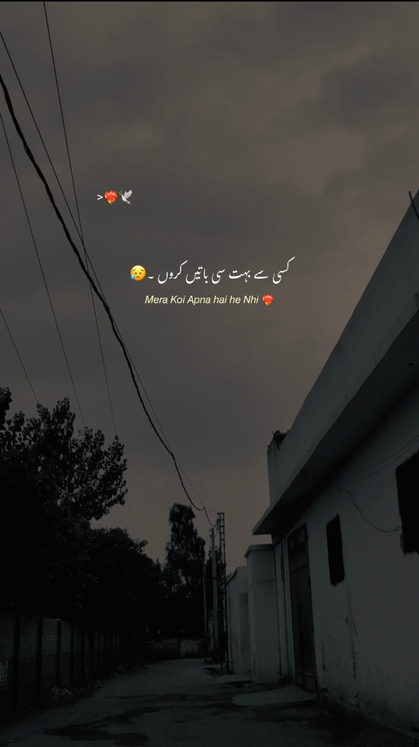 𝘔𝘦𝘳𝘢 𝘒𝘰𝘪 𝘈𝘱𝘯𝘢 𝘩𝘢𝘪 𝘩𝘦 𝘕𝘩𝘪 ❤️‍🩹.  #hehe_afridy #foryoupageofficiall 