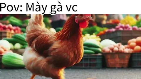 #Meme #MemeCut #CapCut 