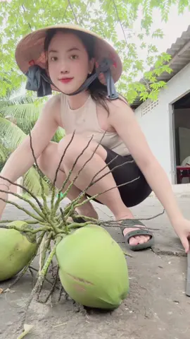 Con gái miền tây chặt dừa nhưng không biết làm dâu#bentre71🌴🥥 #xuhuong #gaimientay #gaixinh 