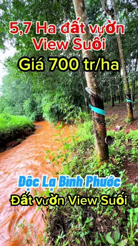 Bán Vườn Cao Su View Suối thu nhập 30 tr/tháng . Hơn 400 m Suối . Đường ô tô vào đất #nhàđấtbìnhphước #đấtbìnhphước #đấtvườnbìnhphước #nhàvườnbìnhphước #bánđất #xuhuong2024 