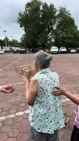 #ຕຸ້ງຕິ້ງ #87ປີ ທິດລະອັນຕາມສັນຍາ 👧🏻🍦🍦🦜