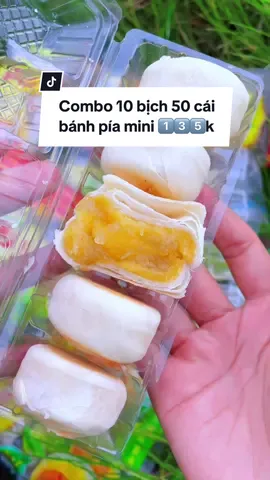Bánh pía sầu riêng này thơm lắm m.n ơi, nhân ngập sầu luôn, bánh mềm dễ ăn, người già trẻ nhỏ đều ăn được luôn #banhpia  #bánhpia #doanvat #anvat #doanvatngon 