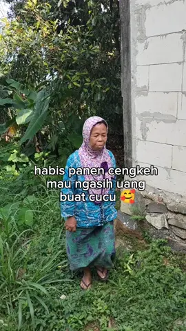ketulusan nenek terhadap cucunya 🥲 #fyp #kangbakso #pejuangreceh #pejuangkeluarga #pedagangkakilima #_fypシ゚viral 