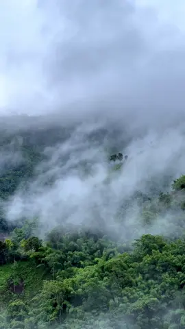 บรรยากาศ + เสียงเพลง = ฮีลใจแบบ 300% ⛰️🍃🌳 #ธรรมชาติฮีลใจ #tiktokพาเที่ยว #วิวธรรมชาติสวยๆ 