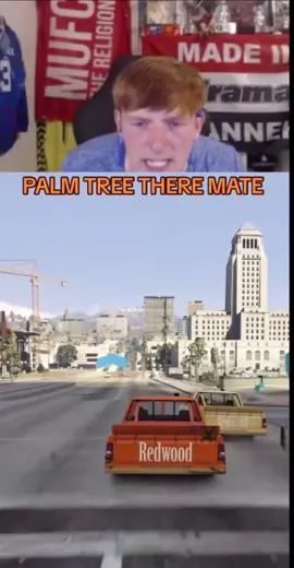 PALM TREE 🌴😂 #angryginge#angryginge13#gta#meme#clip#fyp