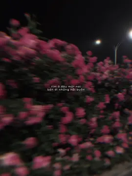Tìm ở đâu một nơi bán đi những nỗi buồn… #dong216 #aries 