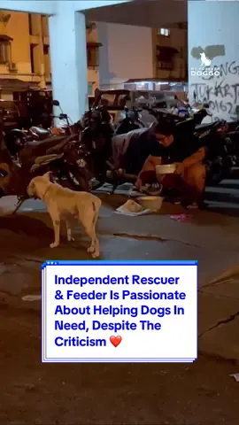 Despite the criticisms, this kind akka rescued and saved an injured puppy who is now a healthy, joulyful doggo. 🐾❤️‍🩹 #dogsofmalaysia #malaysiadogs #myforeverdoggo #adoptdontshop #bekindtoanimals #loveallbeings 
