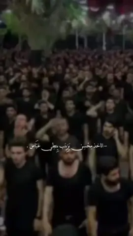 الاخذ محسن يزينب ينطي عباس  #باسم_الكربلائي 