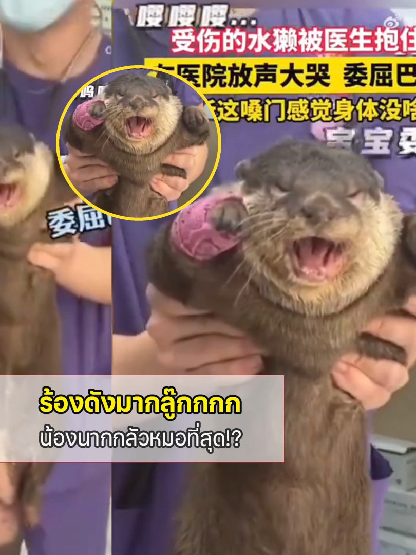ไวรัลน่ารัก 