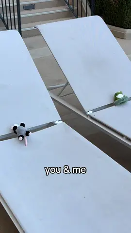 just a possum and a frog ✨ #plushies #plushtoys #possum #frog #ftpシ 