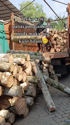 𝘔𝘶𝘢𝘵 𝘮𝘢𝘯𝘶𝘢𝘭, 𝘣𝘰𝘯𝘨𝘬𝘢𝘳 𝘮𝘢𝘯𝘶𝘢𝘭🥵💪💪💪@🚚parmanda Manda🚚 #bongkar #kayurambung #pekerjakeras #panassss #fypシ 