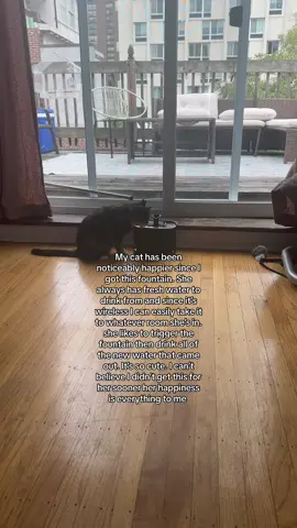 I watch her drink from it like its a tv show. Best investment ive made for my fur baby #cattok #petlibro #meow #fyp #catfountain #catwaterfountain 