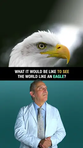 Wish You Could See Like an Eagle? Have you ever wondered what it would be like to see the world through the eyes of an eagle? 🦅 These magnificent birds possess vision that is almost unimaginable to us humans. An eagle’s eyesight is estimated to be up to eight times sharper than that of a human, allowing them to spot prey from incredible distances. Imagine being able to see a rabbit moving from two miles away! 🐇🔭 Eagles have a much larger field of view, around 340 degrees, compared to our 180 degrees. This wide-angle vision, combined with their ability to see ultraviolet light, gives them a truly unique perspective on the world. They can detect the slightest movements in their environment, a skill that is essential for their survival. For us, this would mean never missing a detail, whether we’re driving, reading, or enjoying a scenic view. 🚗📚🌄 Despite our advances in technology, human vision still falls short in comparison. While we struggle with issues like nearsightedness, farsightedness, and age-related vision decline, eagles maintain their superior eyesight throughout their lives. This stark contrast highlights our human limitations and fuels our desire to enhance and protect our vision. Imagine a world where we could harness even a fraction of an eagle’s visual prowess. Enhanced clarity, broader peripheral vision, and the ability to see in different light spectrums would revolutionize our daily experiences. While we may not be able to achieve eagle vision, understanding these differences can inspire us to take better care of our eyes and appreciate the marvels of nature. Want to learn more about how you can protect and enhance your vision? Follow me for expert eye care tips and insights! 👓✨ #EagleVision #SharpEyes #BirdsOfPrey #EyeHealth #HumanVsEagle #NatureWonders #VisionComparison #EyeCareTips