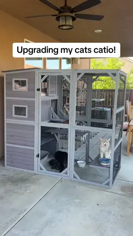 I linked this catio in this video near the orange cart! @aivituvinpet #cat #catio #aivituvinpet #catsoftiktok #catcatio #mainecoon #mainecoonsoftiktok 