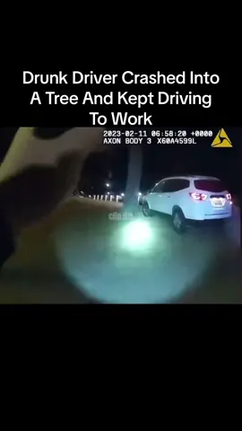 Drunk Driver Crashed Into A Tree And Kept Driving To Work #bodycam #police #arrest #drunktok 