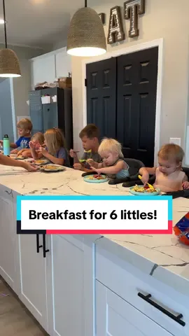 Breakfast for 6 littles! #breakfastideas #breakfastforkids #kidsbreakfast #morningroutine #morninginmylife #morningwithkids #momof6 #2under2 #4under4 #twinmomlife #twinmom #twinsoftiktok 